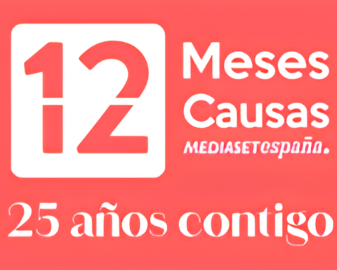Mediaset, 12 meses 12 causas, Acción Social