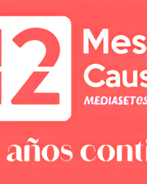 Mediaset, 12 meses 12 causas, Acción Social