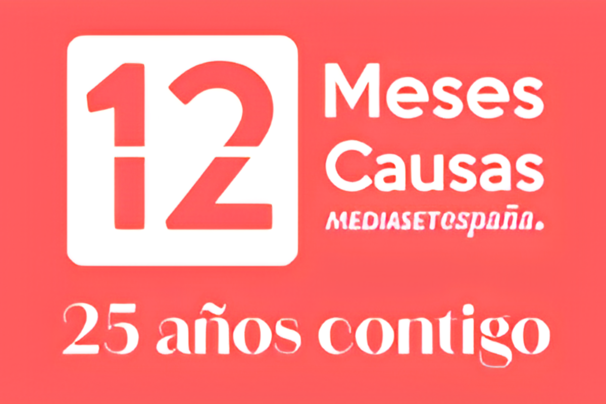 Mediaset, 12 meses 12 causas, Acción Social
