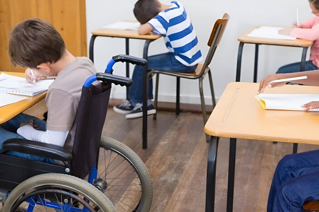 Educación inclusiva, cocemfe, INCLUDL Schools, Confederación Española de Personas con Discapacidad Física y Orgánica, guía de buenas prácticas para la inclusión, inclusión, educación