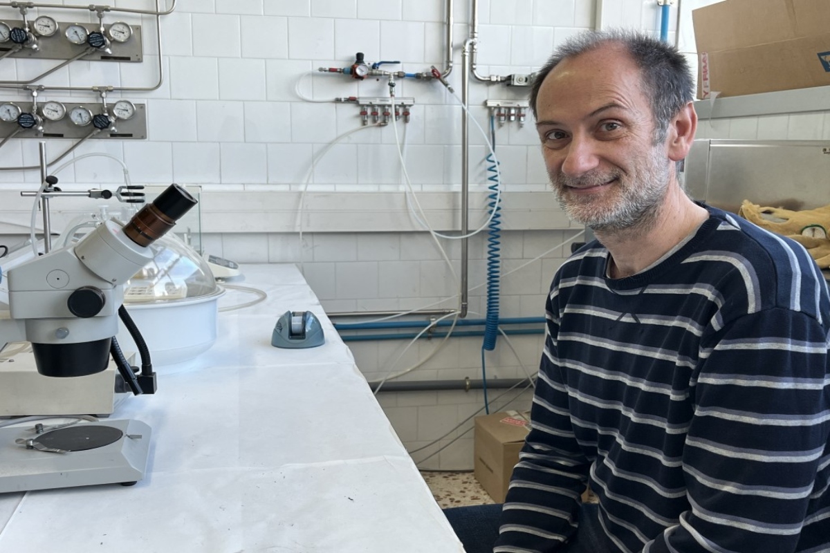 Eduard Llovet, el investigador que lidera los ensayos de la URV que crearon el apósito inteligente. Foto: prensa URV.