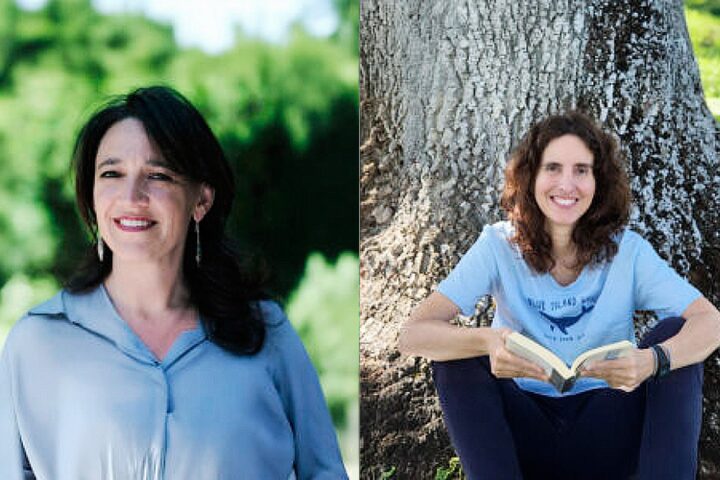 Desinformación y calidad democrática. Charla a cargo de Cristina Monge y Laura G. de Rivera