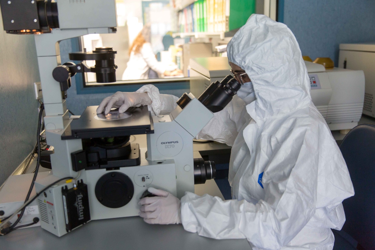 El laboratorio de la Clínca de la Universidad de Navarra donde Fundación Botín y la Universidad colaborarán para impulsar nuevas terapias contra el cáncer. Foto: prensa Fundación Botín.