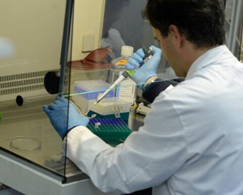 La Universidad Complutense de Madrid, junto a la de Barcelona, figuran en lo más alto de un ranking científico, teniendo en cuenta el impacto de sus publicaciones. Foto: prensa UCM.