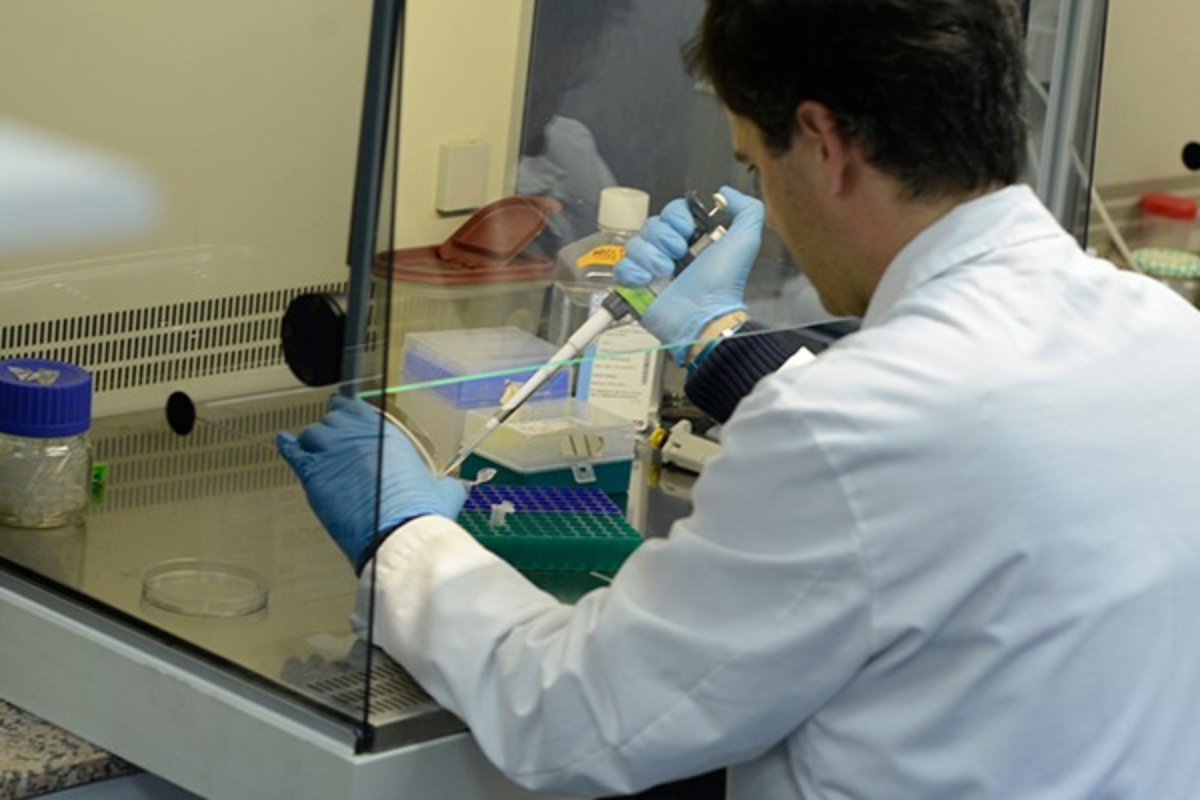 La Universidad Complutense de Madrid, junto a la de Barcelona, figuran en lo más alto de un ranking científico, teniendo en cuenta el impacto de sus publicaciones. Foto: prensa UCM.