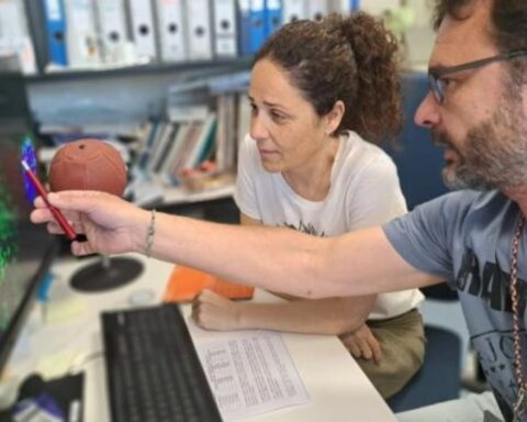 Investigadores del Departamento de Genética de la Universidad de Sevilla descubrieron indicios para tratar daños del ADN. Foto: prensa Universidad de Sevilla.