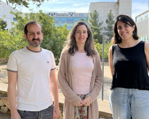 Los investigadores del Departamento de Química de la URV que estudian cómo se conectan las neuronas. Foto: URV.