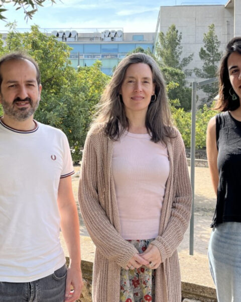 Los investigadores del Departamento de Química de la URV que estudian cómo se conectan las neuronas. Foto: URV.