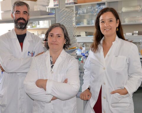 De izqda. a dcha.: Carlos A. Castillo, Pilar Alberdi e Inmaculada Ballesteros. Foto: UCLM.