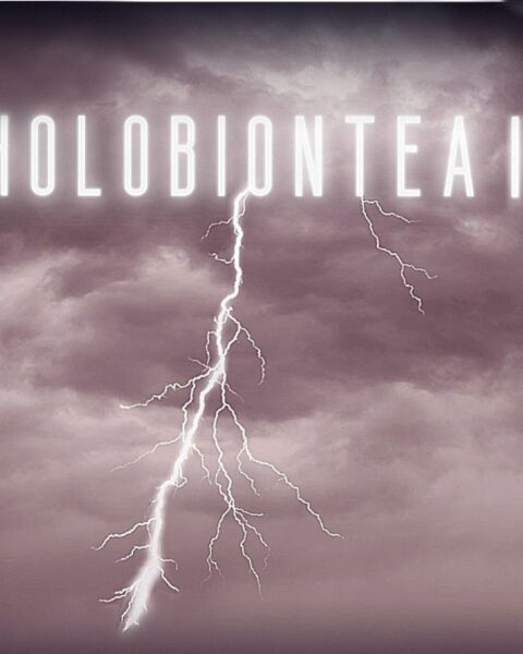 La tercera y última temporada de la ficción sonora Holobiontea
