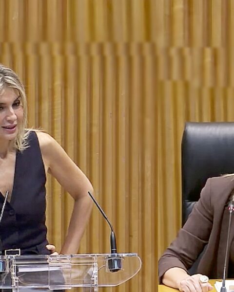 Sandra Golpe. Congreso de los Diputados.Blanca Armario