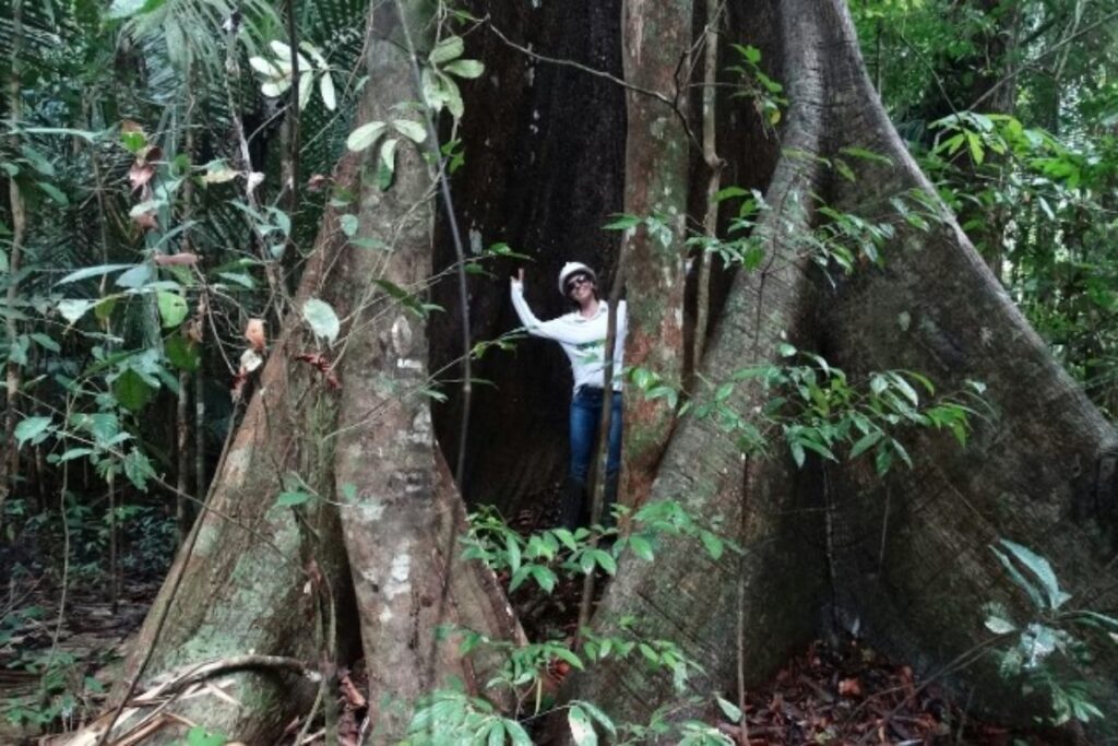 En 2021 EET ropuso un Grren Friday y se comprometió a plantar un árbol por cada 5 envíos que salen de sus almacenes.