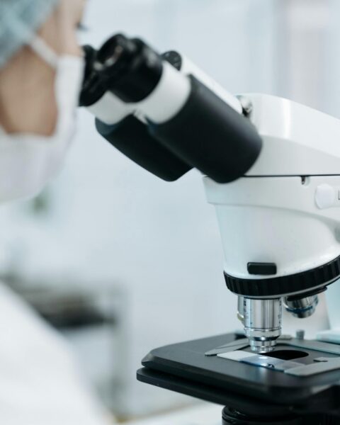 Boehringer Ingelheim y la Sociedad Española de Medicina de Laboratorio impulsan el diagnóstico precoz de enfermedades cardiovasculares y renales.