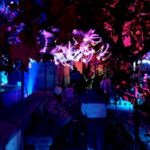 Luces y sonidos en una experiencia inmersiva que presenta Acciona en el huerto de Calixto y Melibea de Salamanca.