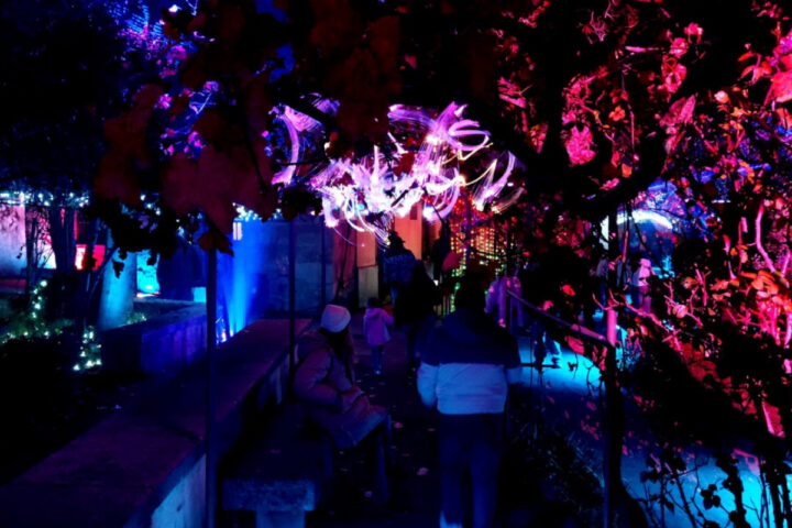 Luces y sonidos en una experiencia inmersiva que presenta Acciona en el huerto de Calixto y Melibea de Salamanca.
