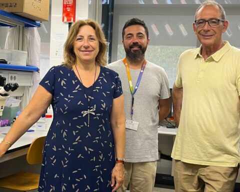 Mercé Pallas, Christian Griñán y Jordi García, del equipo de la UB que investiga el tratamiento para el autismo.