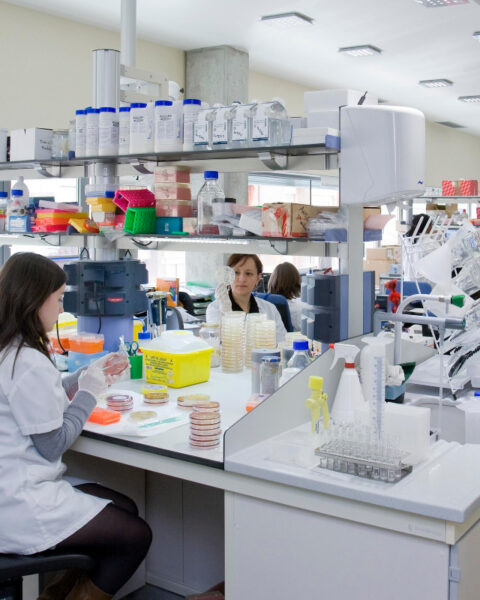 La investigación sobre los subtipos de cáncer y los contaminantes es coordinada por el Instituto de Salud Global de Barcelona.
