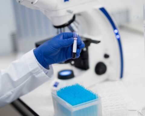 La UB estudia un compuesto para el dolor crónico.