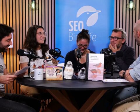 La Sociedad Española de OrnitologíaSEO/BirdLife, uno de los proyectos ganadores de la primera convocatoria de Endesa.