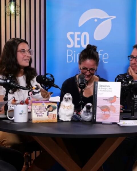 La Sociedad Española de OrnitologíaSEO/BirdLife, uno de los proyectos ganadores de la primera convocatoria de Endesa.