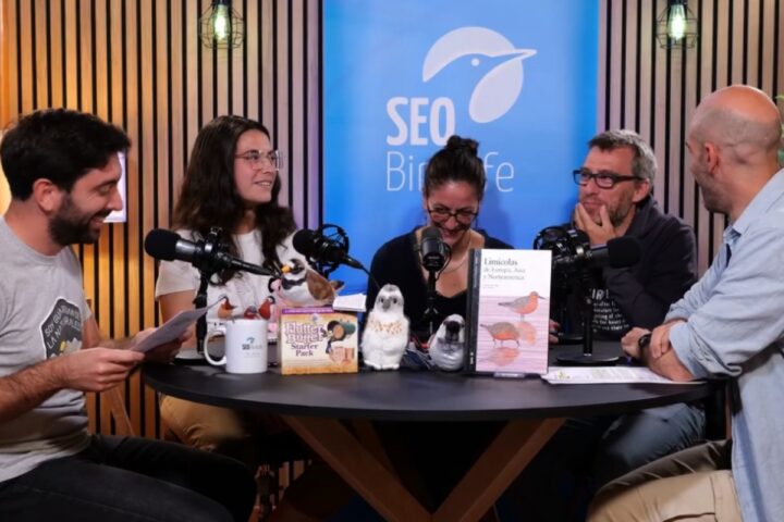 La Sociedad Española de OrnitologíaSEO/BirdLife, uno de los proyectos ganadores de la primera convocatoria de Endesa.