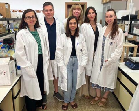 El equipo científico de la Universidad de Málaga que investigó la relación entre obesidad, diabetes y alzhéimer.