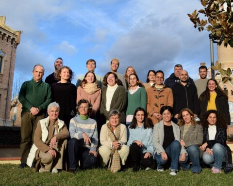 Genética y Ambiente en Psiquiatría (GAP).