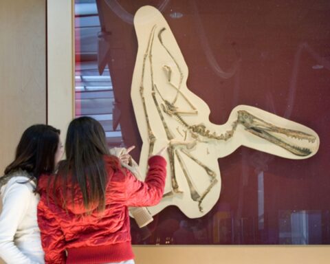 Una de las muestras permanentes del Museo CosmoCaixa.