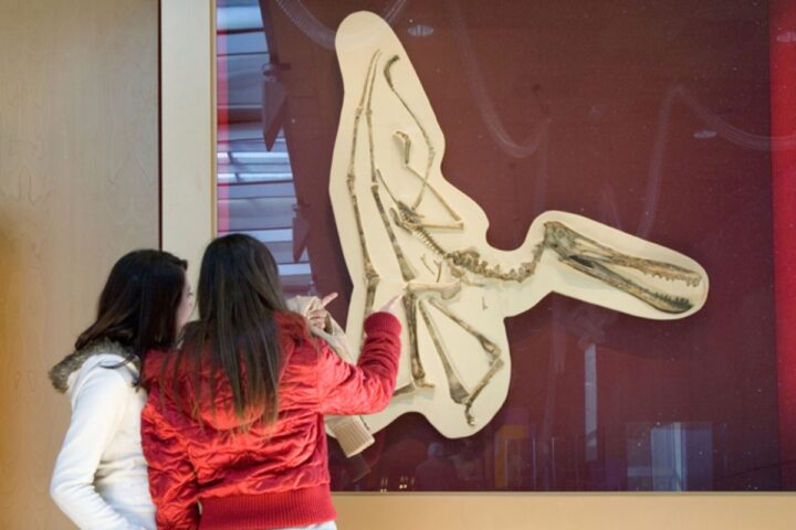 Una de las muestras permanentes del Museo CosmoCaixa.