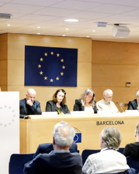 Reglamento Europeo sobre la Libertad de los Medios de Comunicación (EMFA)