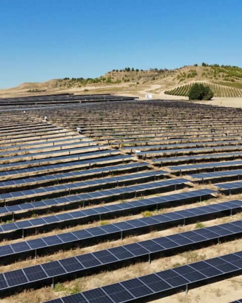Los proyectos suman casi 600 megavatios de potencia instalada para el grupo.