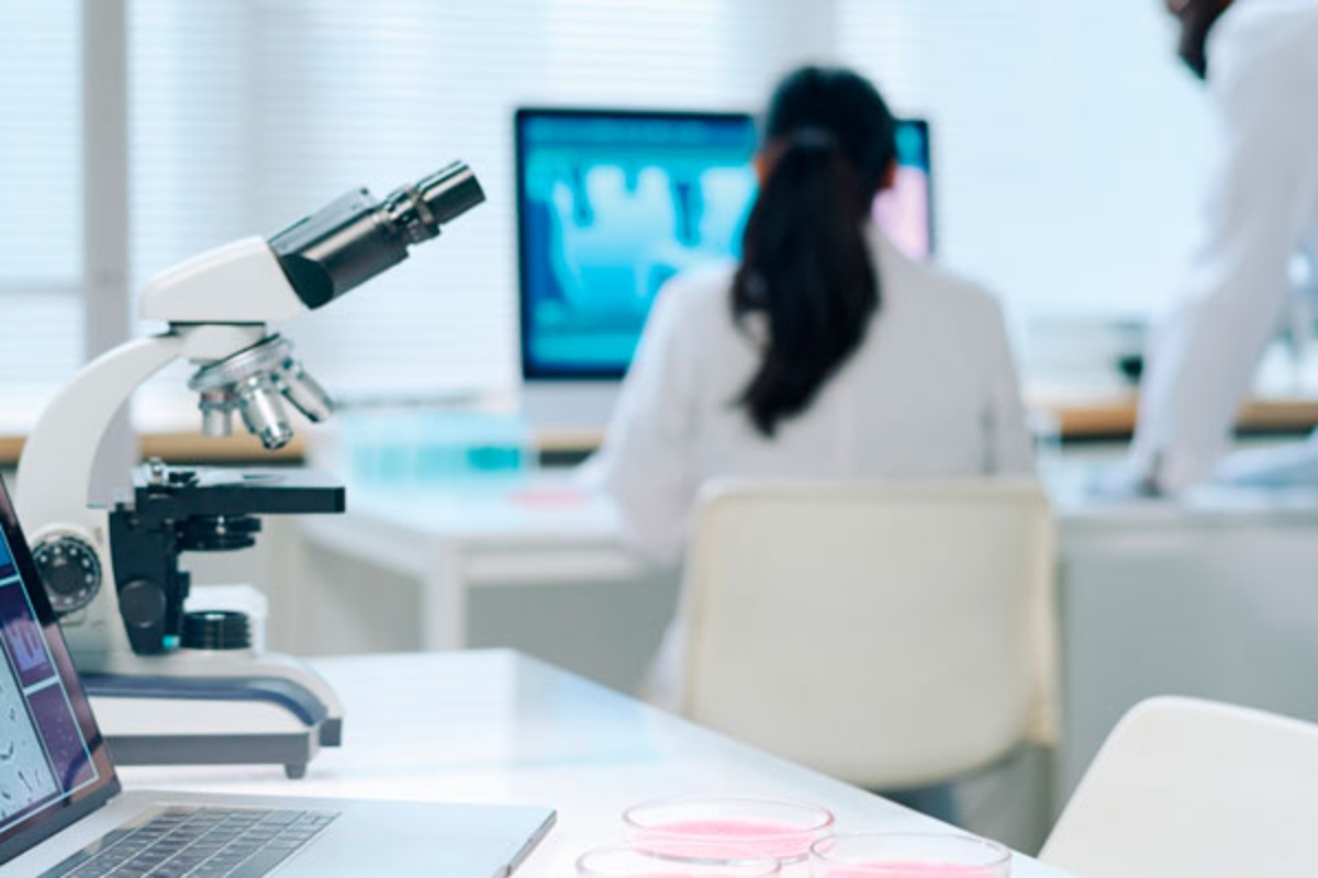ICMRA propone eliminar completamente el uso de animales en el proceso de fabricación de medicinas.